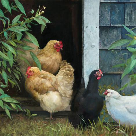 chickens by Kimberly beck