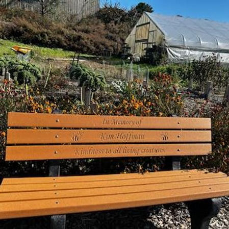 memorial bench.jpg