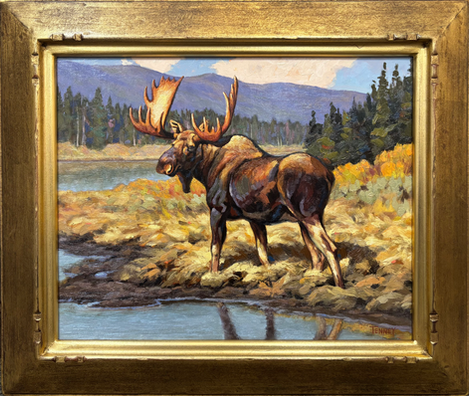 oil painting of a moose by Ammon Tenney inspired by carl rungius