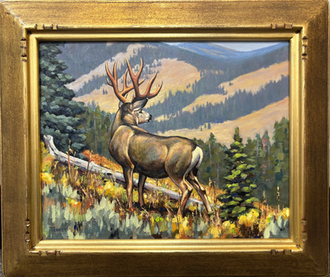 oil painting of a mule deer by Ammon Tenney inspired by carl rungius