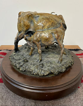Bronze sculpture by Jeff Wolf of a cow feeding and cleaning her baby at Gold River Gallery
