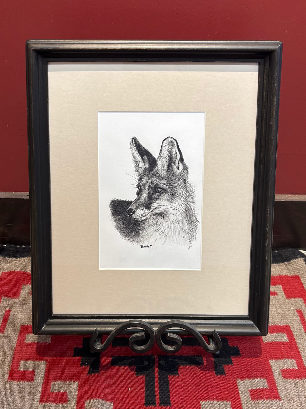 Ammon tenney fox
