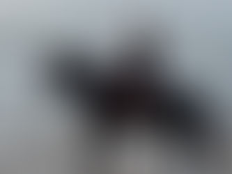 The Space Between Cycles: Chinese New Year 2026