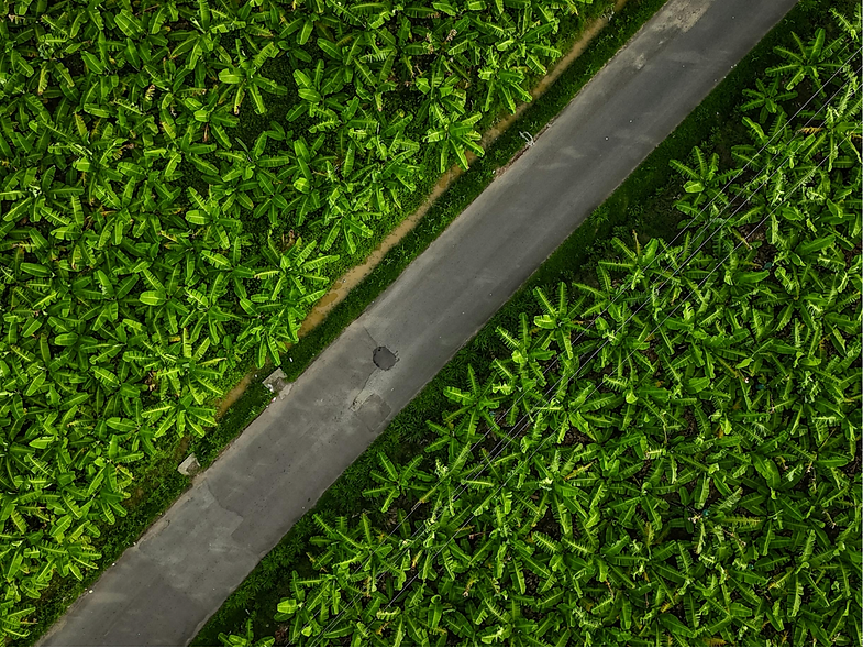 Capture d’écran 2026-01-13 à 22.43.14.png