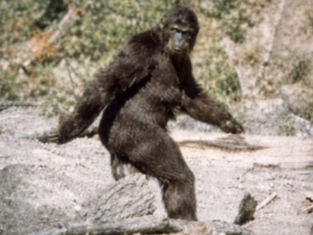 THE PATTERSON-GIMLIN FOOTAGE