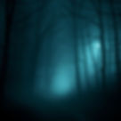 Eerie misty forest path at night with subtle glowing fog, dark moody atmosphere, paranorma