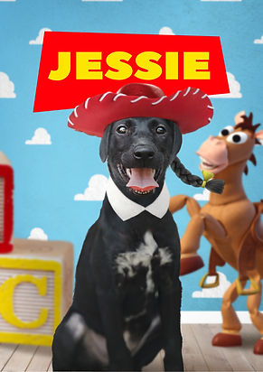 Jessie_02.jpg