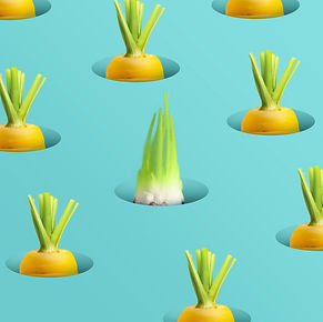 carrot.jpg