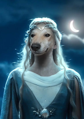 9. Galadriel4.jpg