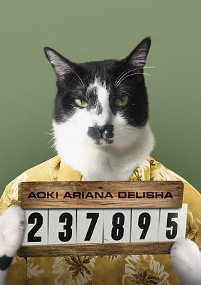 123.jpg