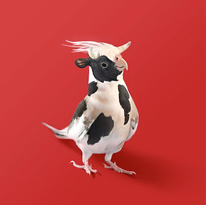 Cow.jpg