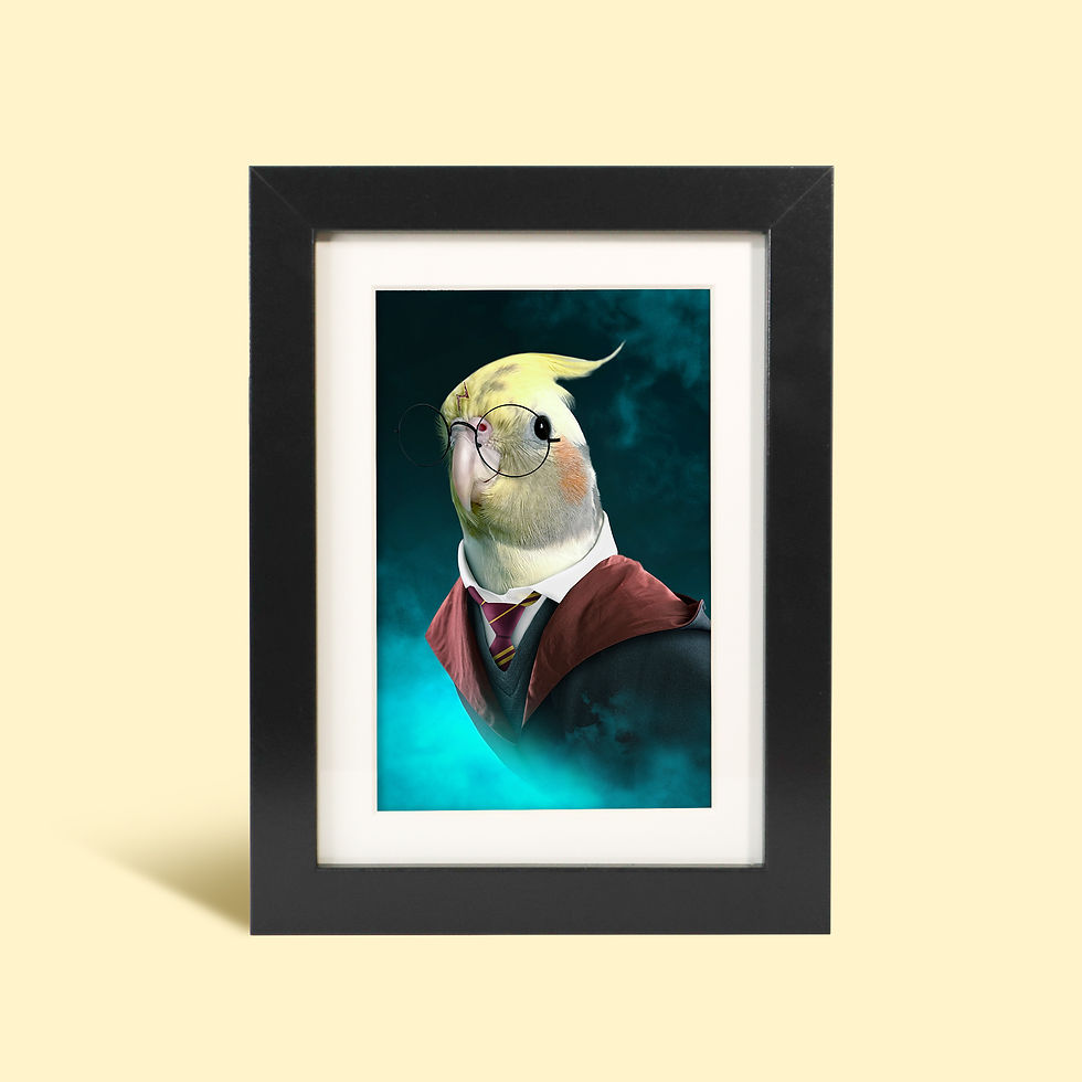 Harry Potter - Custom Framed Portrait