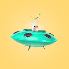UFO.jpg