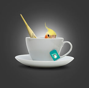 tea.jpg
