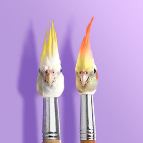 Paint Brush.jpg