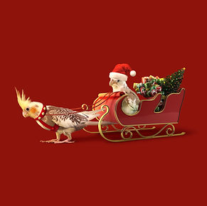 Santa Sleigh.jpg