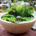 Sustainable Water Features: Smart, Beautiful, and Environmentally Responsible Outdoor Living.