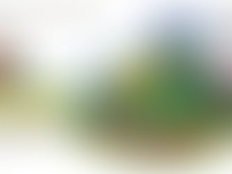 Low-Maintenance & Sustainable Landscaping in Central PA: Smarter Outdoor Living Starts Here!