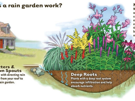 Low-Maintenance & Sustainable Landscaping in Central PA: Smarter Outdoor Living Starts Here!