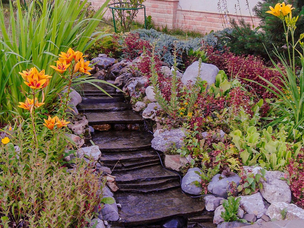 Natural rain garden design with native plants surrounding for a sustainable water feature install