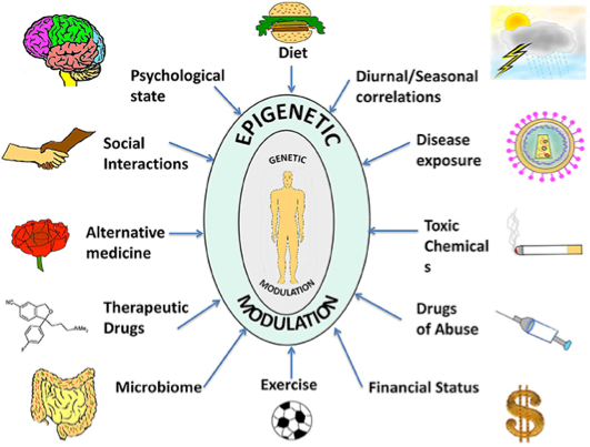 EPIGENETICS AND BIRTH OUTCOMES