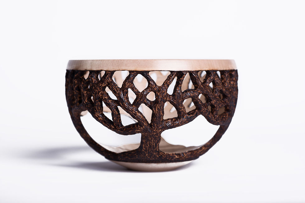 A Shift in Direction: From Why Not Wood to the Studio