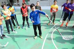 Dry land ice hockey 1.jpeg