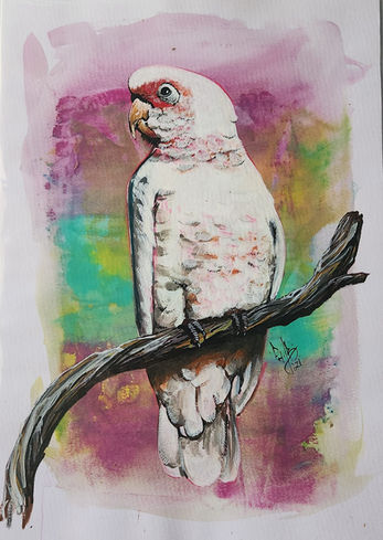 Painting of a pale pink and white cockatoo perched on a branch, set against a colorful pastel background.