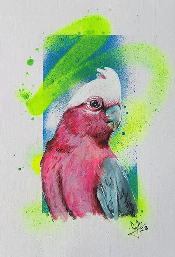 Painting of a galah against a neon yellow and blue spray-painted background.