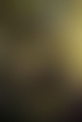 El libro de la selva