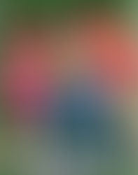 Mike y Dave: Los busca novias