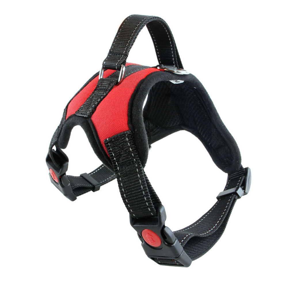 Thumbnail: DAILY HARNESS™