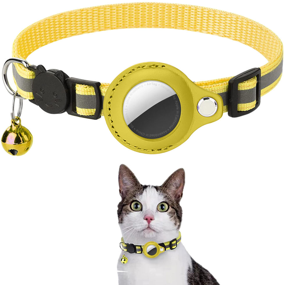 Thumbnail: FINDER COLLAR™