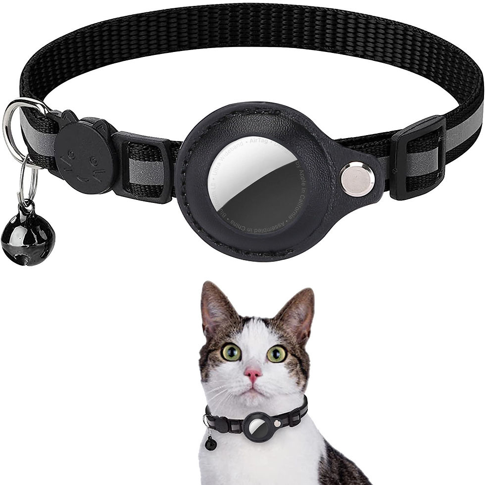 Thumbnail: FINDER COLLAR™