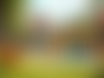 Terapias Efectivas para Niños con Autismo en Wilton Manors