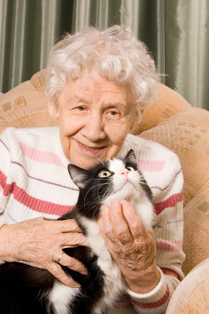 pets-elderly.webp