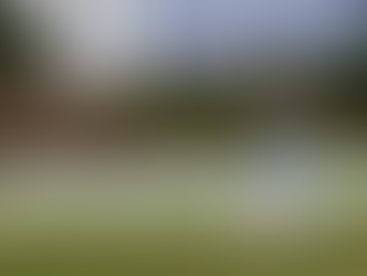 Love my new RJR Bat!