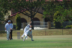 UNADJUSTEDNONRAW_thumb_16ce