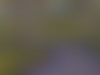 Road Ahead Series No 11 – The Road to Pete’s (40.5 x 29.5 cm)