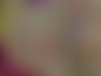 Three Heads Are Better Than Two 44.5x36cm