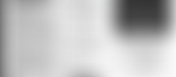 "What's Happening" for Sunday, December 1, 2024