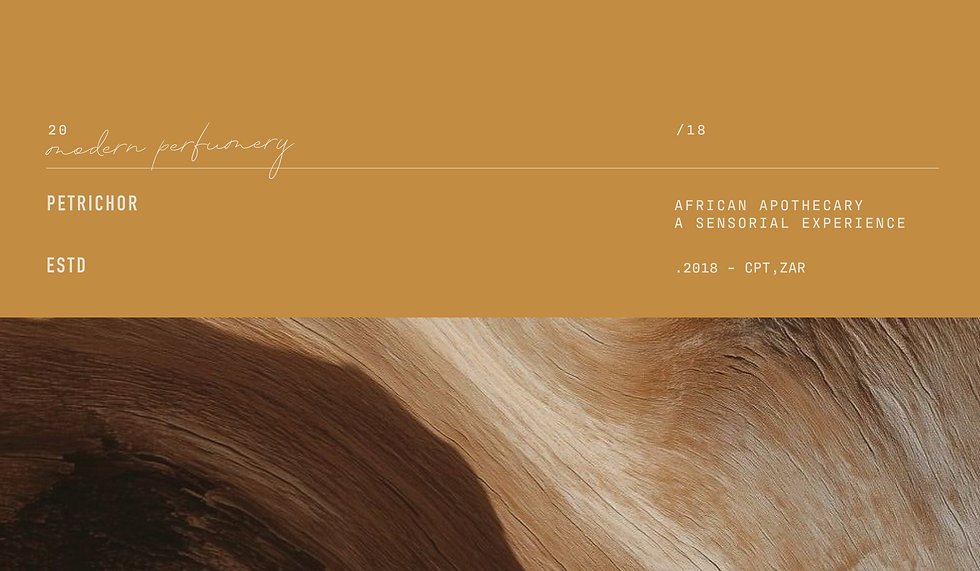Wellness Brand Identity Design