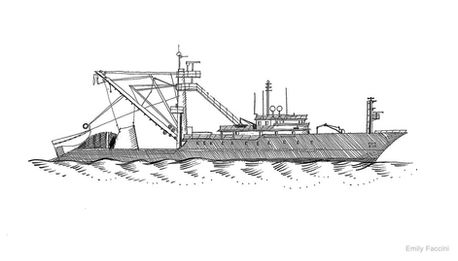 Emily Faccini: Rewilding the Sea by Charles Clover