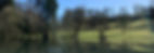 Reflections-2.jpg