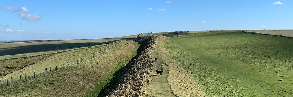Dog-on-ridge-1200.jpg