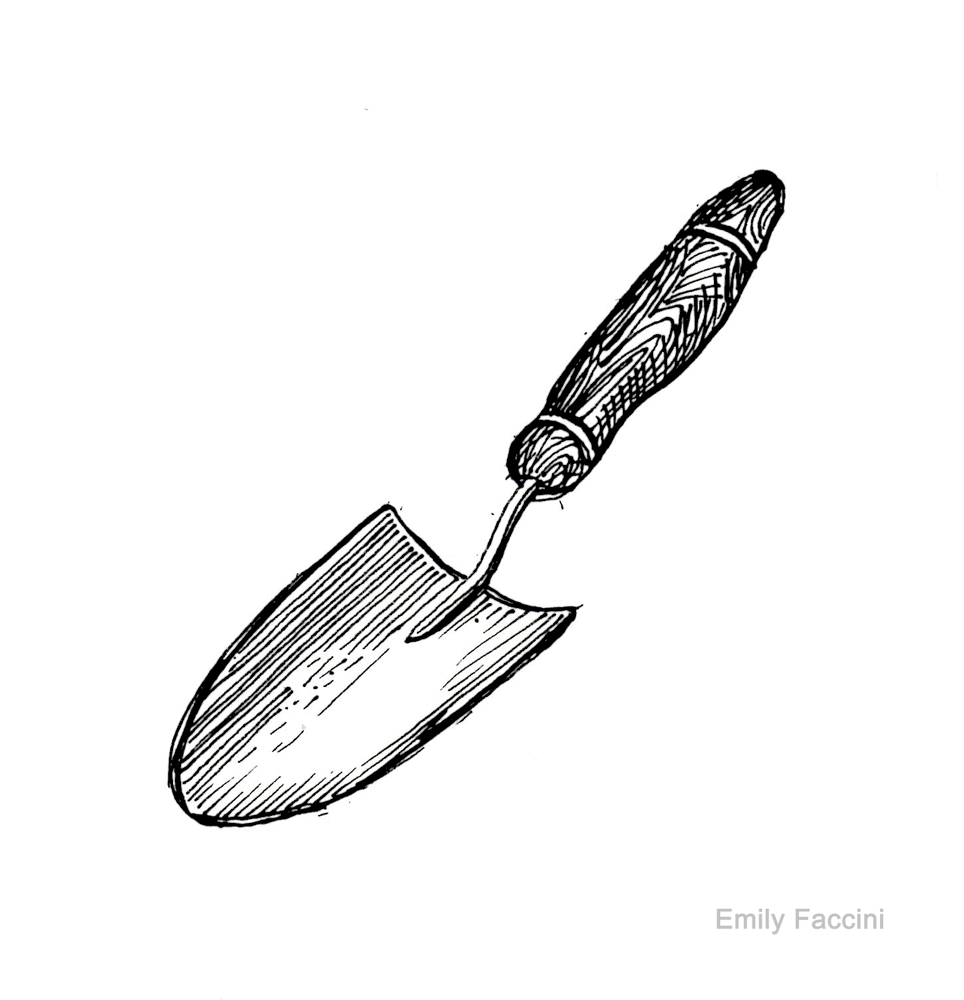 Emily Faccini: Tulip Landscapes