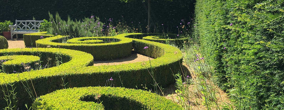 Garden Inspiration
