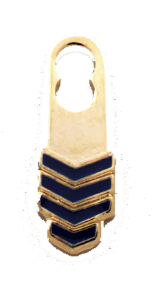 Broche insigne Pin's / Badge - Lions Club Finland MD Broche insigne Pin's / Badge - Lions Club Finland MD