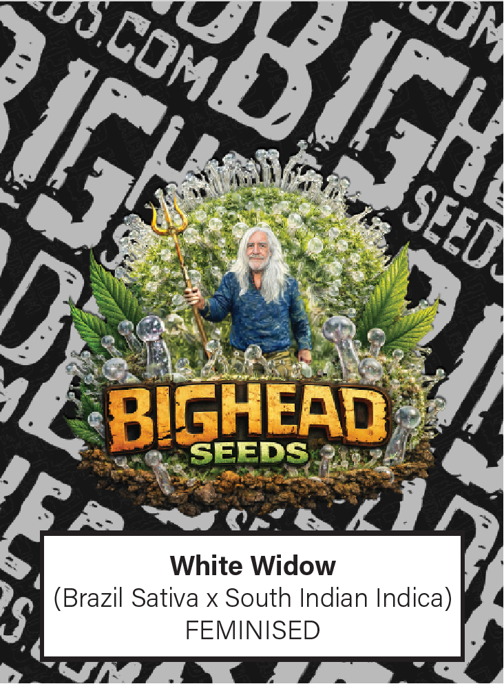 Thumbnail: WHITE WIDOW