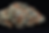 Thumbnail: COOKIE DAWG